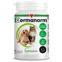 VETOQUINOL Dermanorm 90 Kapseln
