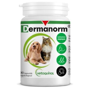 VETOQUINOL Dermanorm 90 Kapseln