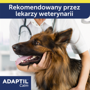 CEVA Adaptil Spray 60ml beruhigende Pheromone für Hunde – Bild 9
