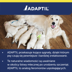 CEVA Adaptil Spray 60ml beruhigende Pheromone für Hunde – Bild 10