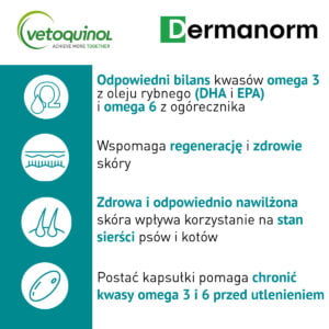 VETOQUINOL Dermanorm 90 Kapseln – Bild 2