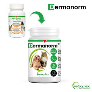 VETOQUINOL Dermanorm 90 Kapseln – Bild 4