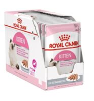 ROYAL CANIN Kitten pate 12x85g Nassfutter für Katzen