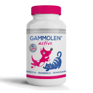 Gammolen Aktiv 90 Tabletten