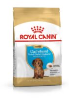 ROYAL CANIN Dackel Welpe 1,5 kg Trockenfutter für Hunde