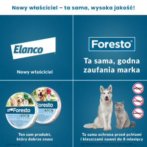 FORESTO Zecken- und Flohhalsband für kleine Hunde und Katzen (38cm) – Bild 2