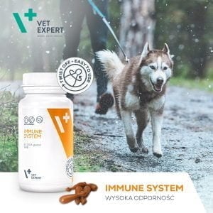 VET EXPERT Immunsystem 30 Kapseln Immunität – Bild 2