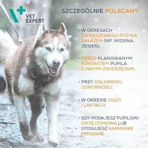 VET EXPERT Immunsystem 30 Kapseln Immunität – Bild 4