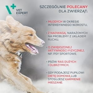 VET EXPERT Gelenke & Mobilität 30 Kapseln Gelenkpräparat – Bild 5