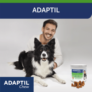 ADAPTIL Chew 30 Bissen gegen Stress bei Hunden – Bild 8