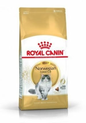 ROYAL CANIN Norwegian Forrest Adult 2kg
