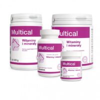 DOLFOS Multical 1kg proszek witaminy i minerały