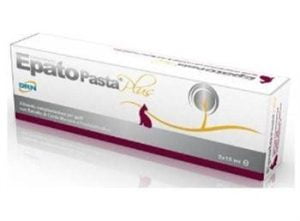 GEULINCX epato Paste plus 2 Spritzen à 15 ml