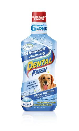 DENTAL FRESH Zahnaufhellung 503 ml