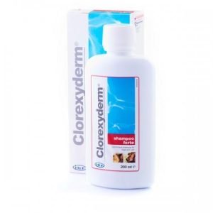 GEULINCX clorexyderm Haarwaschmittel forte 200 ml