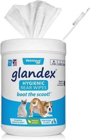 GLANDEX Tücher 75 Stück Analdrüsenhygiene