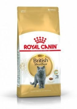 ROYAL CANIN British Shorthair Adult 4kg