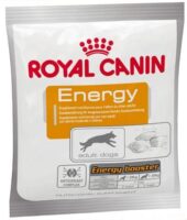 ROYAL CANIN Energy Booster 50g Trockenfutter für Hunde