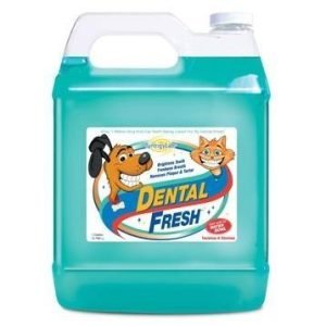 DENTAL FRESH oral Standard 3,8 l