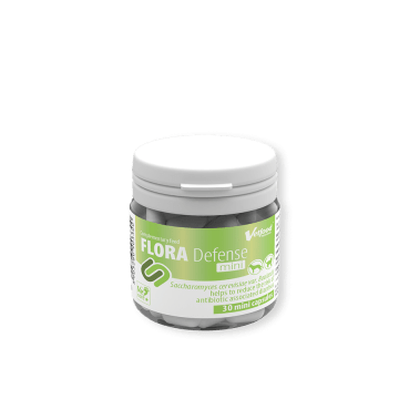 VETFOOD Flora defense Mini