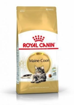 ROYAL CANIN Maine Coon Adult 4kg