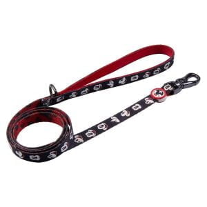 FOR FAN PETS mickey s leash