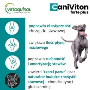 VETOQUINOL Caniviton Forte Plus 90 Tabletten – Bild 2