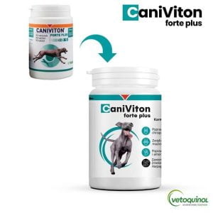 VETOQUINOL Caniviton Forte Plus 90 Tabletten – Bild 4