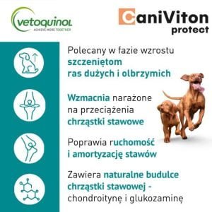 VETOQUINOL Caniviton Protect 90 Tabletten – Bild 2