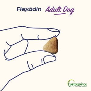 Flexadin Adult Dog 60 Bissen - Unterstützung für die Gelenke Ihres Hundes – Bild 2