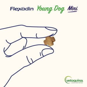 Flexadin Young Dog Mini 60 Bissen zur Unterstützung der Gelenke von Hunden – Bild 2