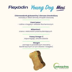 Flexadin Young Dog Maxi 60 Bissen zur Unterstützung der Gelenke von Hunden – Bild 4