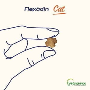Flexadin Cat 60 Knüppel - Gelenkunterstützung für Katzen – Bild 2