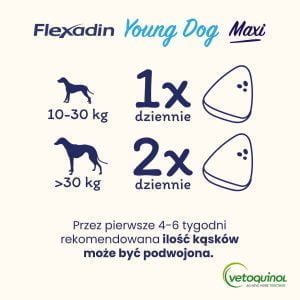 Flexadin Young Dog Maxi 60 Bissen zur Unterstützung der Gelenke von Hunden – Bild 6