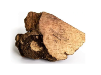 RECOSNACK Spanische Heidewurzel m