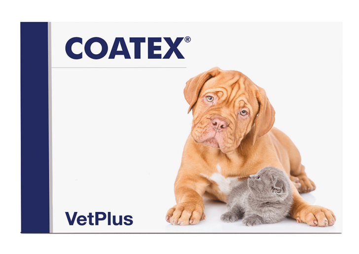 VETPLUS Coatex Haut- und Fellerkrankungen 60 Kapseln