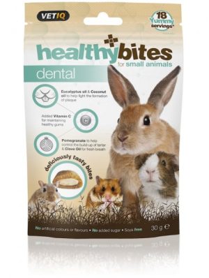 VETIQ gesunde Bisse Dental 30g