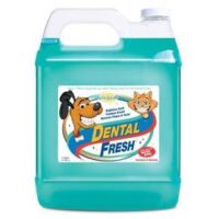 DENTAL FRESH oral standard 3.8l