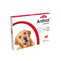 BIOVICO antinol sisarol Hund 30 Tabletten