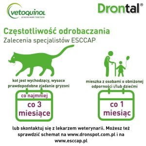Drontal Cat 230mg/20mg 2 Tabletten zur Entwurmung von Katzen – Bild 5