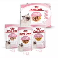 ROYAL CANIN Kätzchen Packung 85g