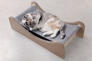 Carton+pets Mia Katzenhängematte aus Pappe – Bild 2