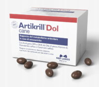 NBF Lanes Artikrill Dol Cane 200