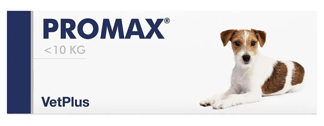 VETPLUS Promax kleine Rassen und Katzen Paste 9ml Verdauungssystem