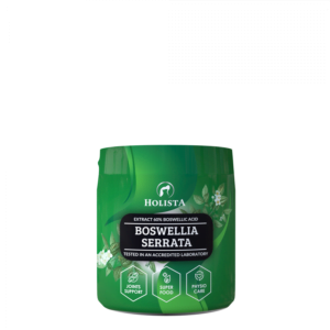 HOLISTA Boswellia seratta dla psa i kota na stawy 100g