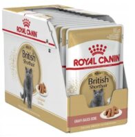 ROYAL CANIN Britisch Kurzhaar in Sauce 85g 12 PACK