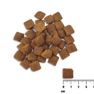 RAW PALEO Trockenfutter mit Huhn für ausgewachsene Hunde 2kg – Bild 2