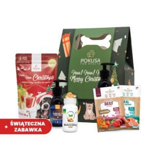 POKUSA Weihnachtsset für erwachsene Hunde