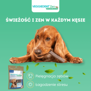VIRBAC Veggiedent Zen L Kauartikel für Hunde über 30kg – Bild 2