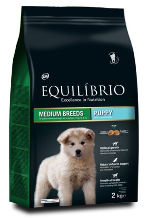 Equilibrio Mittelgroße Rasse Welpe 2 kg